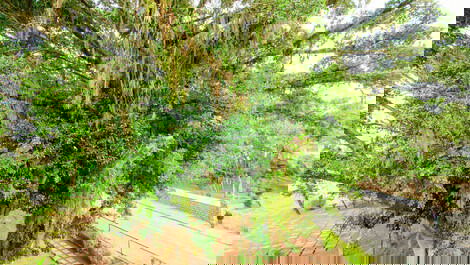 [Untitled]