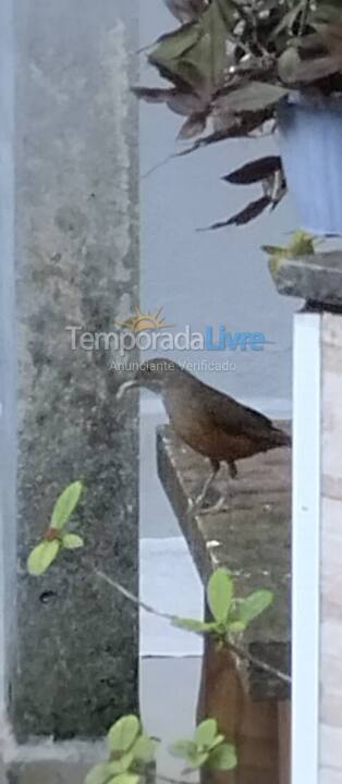 House for vacation rental in Ubatuba (Pereque Açu)