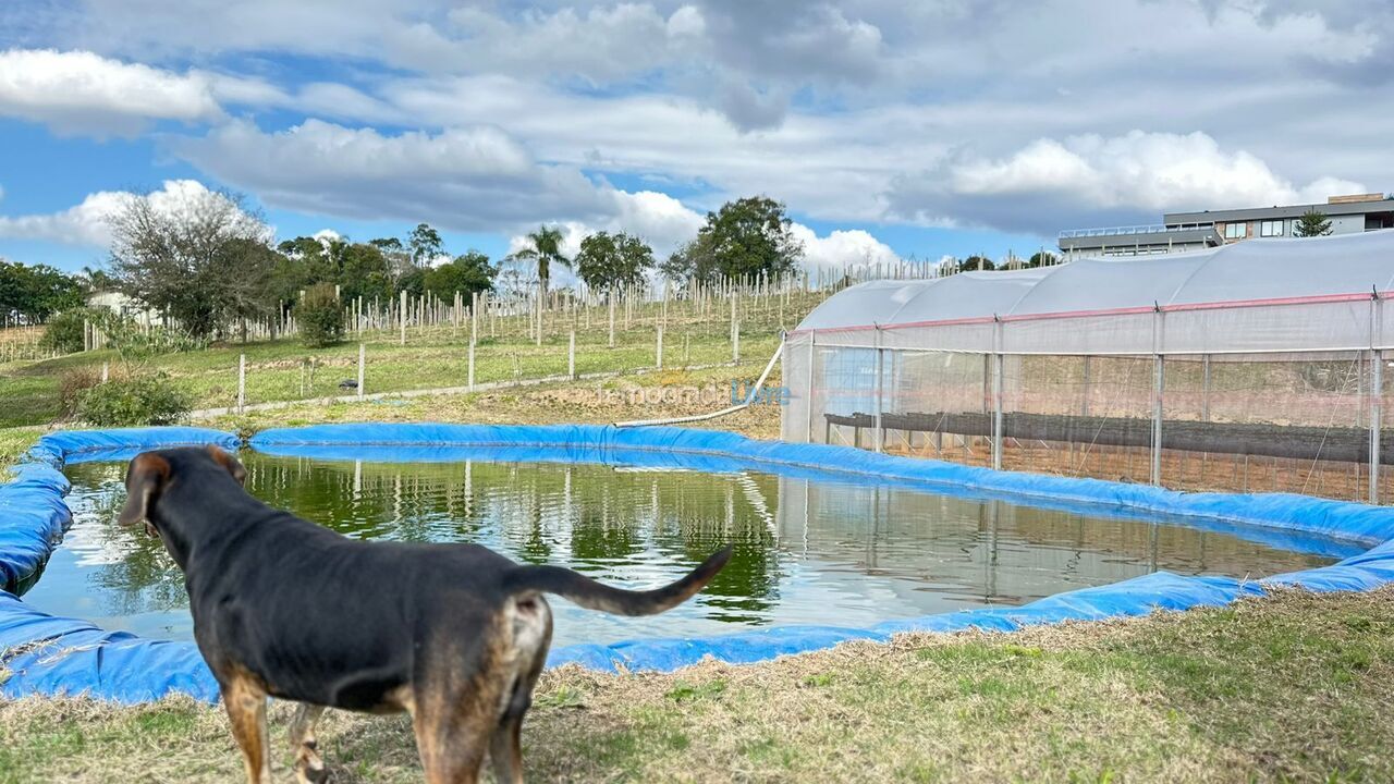 Granja para alquiler de vacaciones em Mandirituba (Chimboveiro)