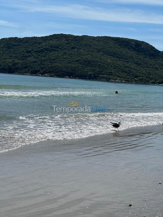 Apartamento para alquiler de vacaciones em Florianopolis (Praia dos Ingleses)