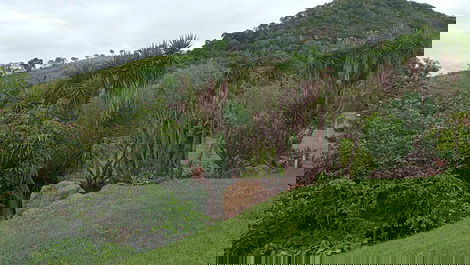 Vista para a pedreira 