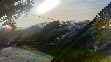 Gramado em frente a casa