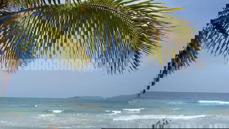 Apto 03-B - 1 Dorm| a duas quadras da Praia Grande - Ubatuba