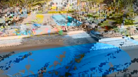 I rent a resort on the sand