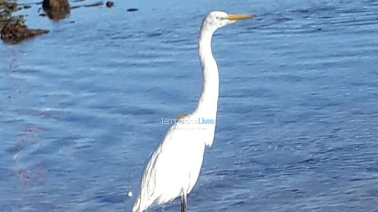 Apartment for vacation rental in Cabo Frio (Praia do Forte)