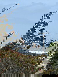 Great Penthouse Apartment 50m from the Sea - Close to Everything - Leisure and Comfort