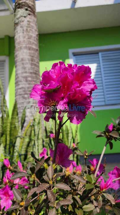 Casa para aluguel de temporada em Florianópolis (Lagoinha)