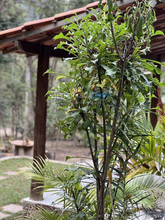 Casa para aluguel de temporada em Palmeiras (Vale do Capão)