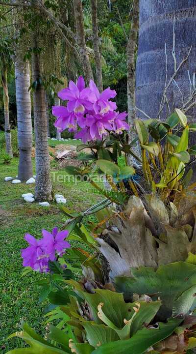 Chácara / sítio para aluguel de temporada em Juquitiba (Ritas)
