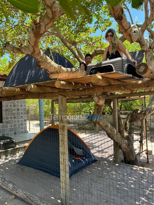 Barraca (casa) na árvore,  com deck em cima do cajueiro Casa para aluguel de temporada em Barra de São Miguel (Barra de São Miguel)