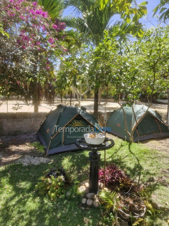 Barracas e jardins Casa para aluguel de temporada em Barra de São Miguel (Barra de São Miguel)