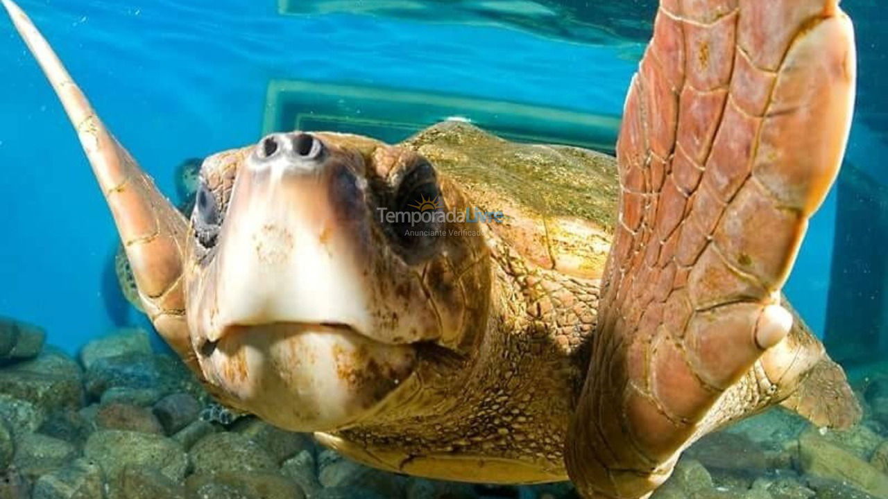 Apartment for vacation rental in Ubatuba (Itaguá)