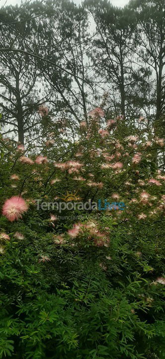 Chácara / sítio para aluguel de temporada em Santa Isabel (Montenegro)