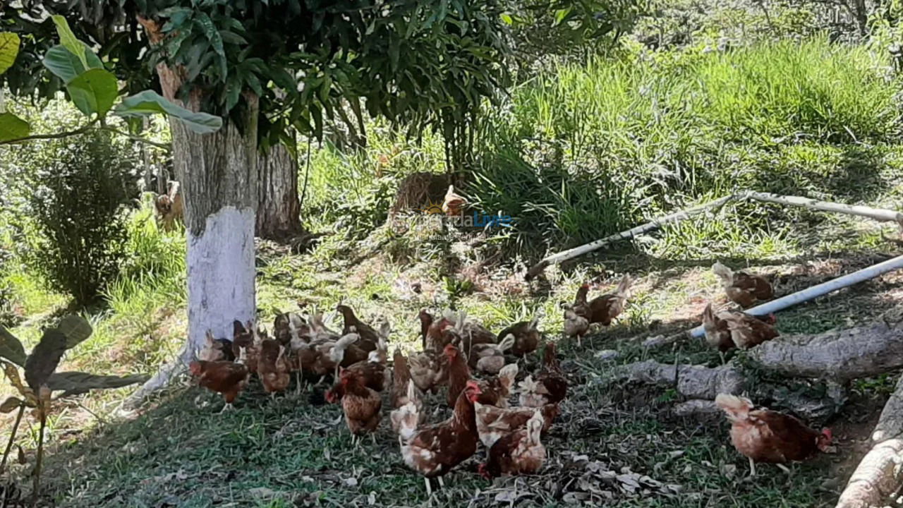 Chácara / sítio para aluguel de temporada em Santa Isabel (Montenegro)