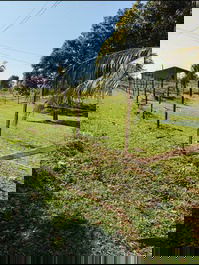 Casa en la isla de Marajó