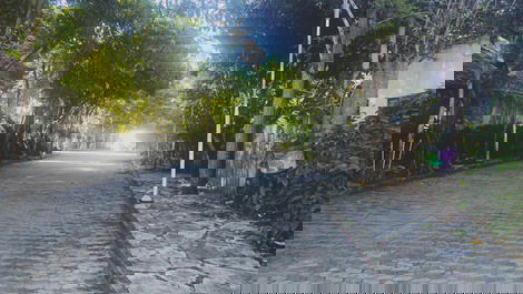 Vila das artes, preservação mata atlântica