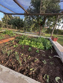 Hermosa finca en condominio cerrado