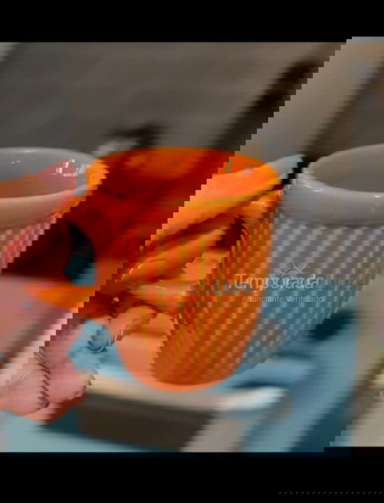 House for vacation rental in São Joaquim da Barra (Recanto do Conde)