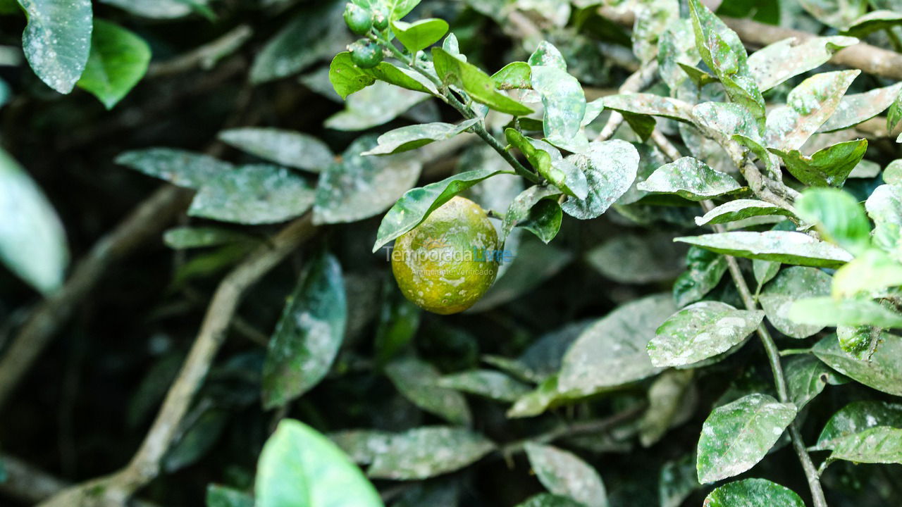 House for vacation rental in Ubatuba (Horto Florestal)