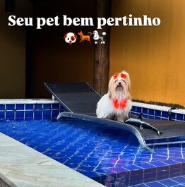 4 suites, beachfront, infinity pool