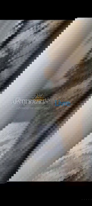 Casa para aluguel de temporada em Caraguatatuba (Martim de Sá)