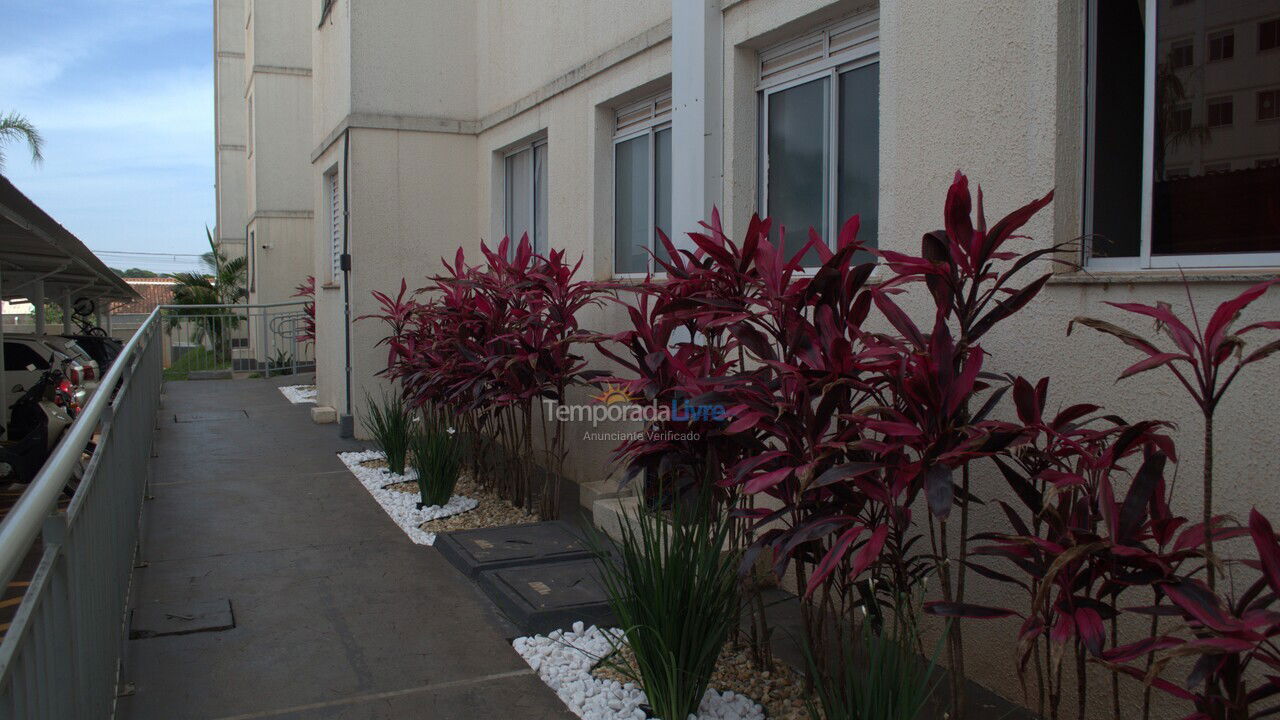 Apartment for vacation rental in Londrina (State Of Paraná)