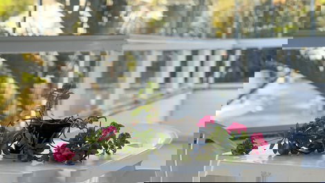 Spacious 3-bedroom apartment on Bombinhas Beach.