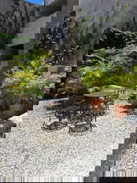 Jardim de inverno na entrada