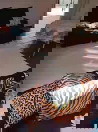 Casa Espaçosa piscina e churrasqueira área Central