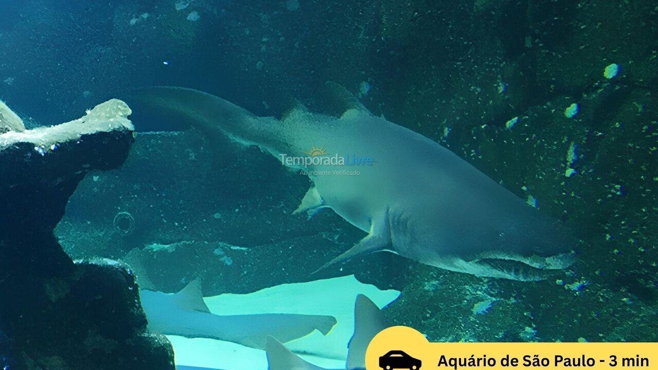 Casa para alquiler de vacaciones em São Paulo (Ipiranga)