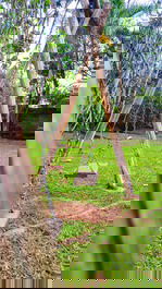 Farm... property that we rent for the season and weekends