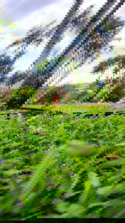 Ranch for vacation rental in Pedro de Toledo (Jardim Caju I)