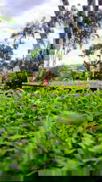 Farm... property that we rent for the season and weekends