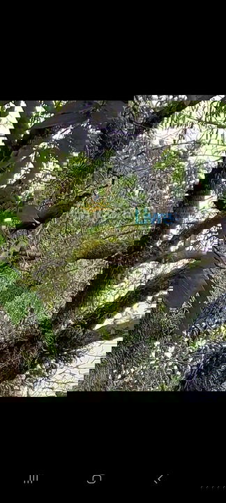 Ranch for vacation rental in Louveira (Monterrey)