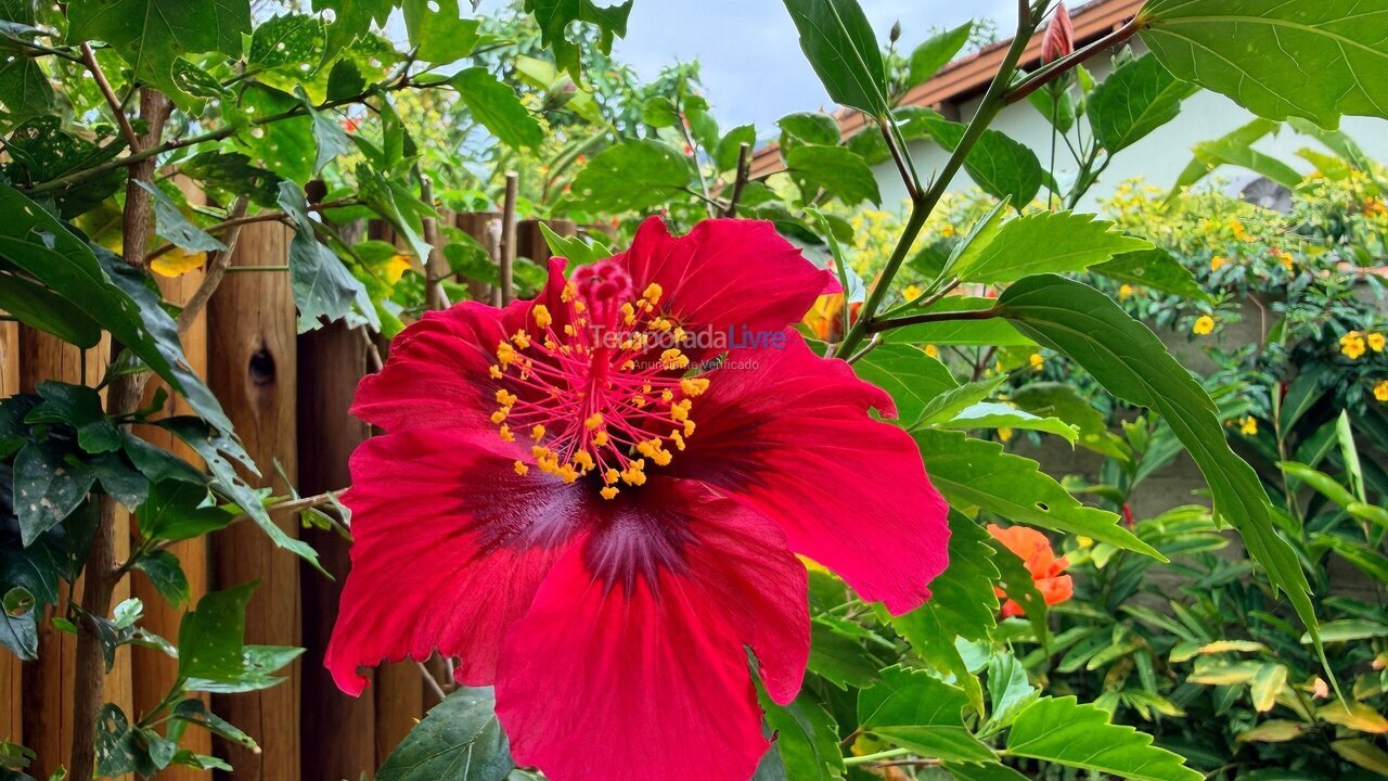 House for vacation rental in Ubatuba (Itamambuca)