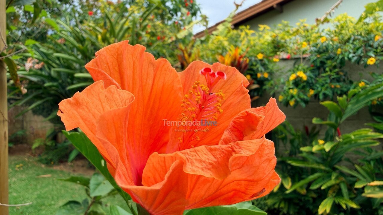 House for vacation rental in Ubatuba (Itamambuca)