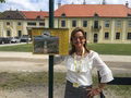 Sueli Meneghel