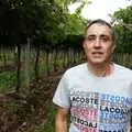 Anisio Senna Borges