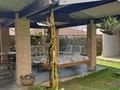 Willer Barbosa